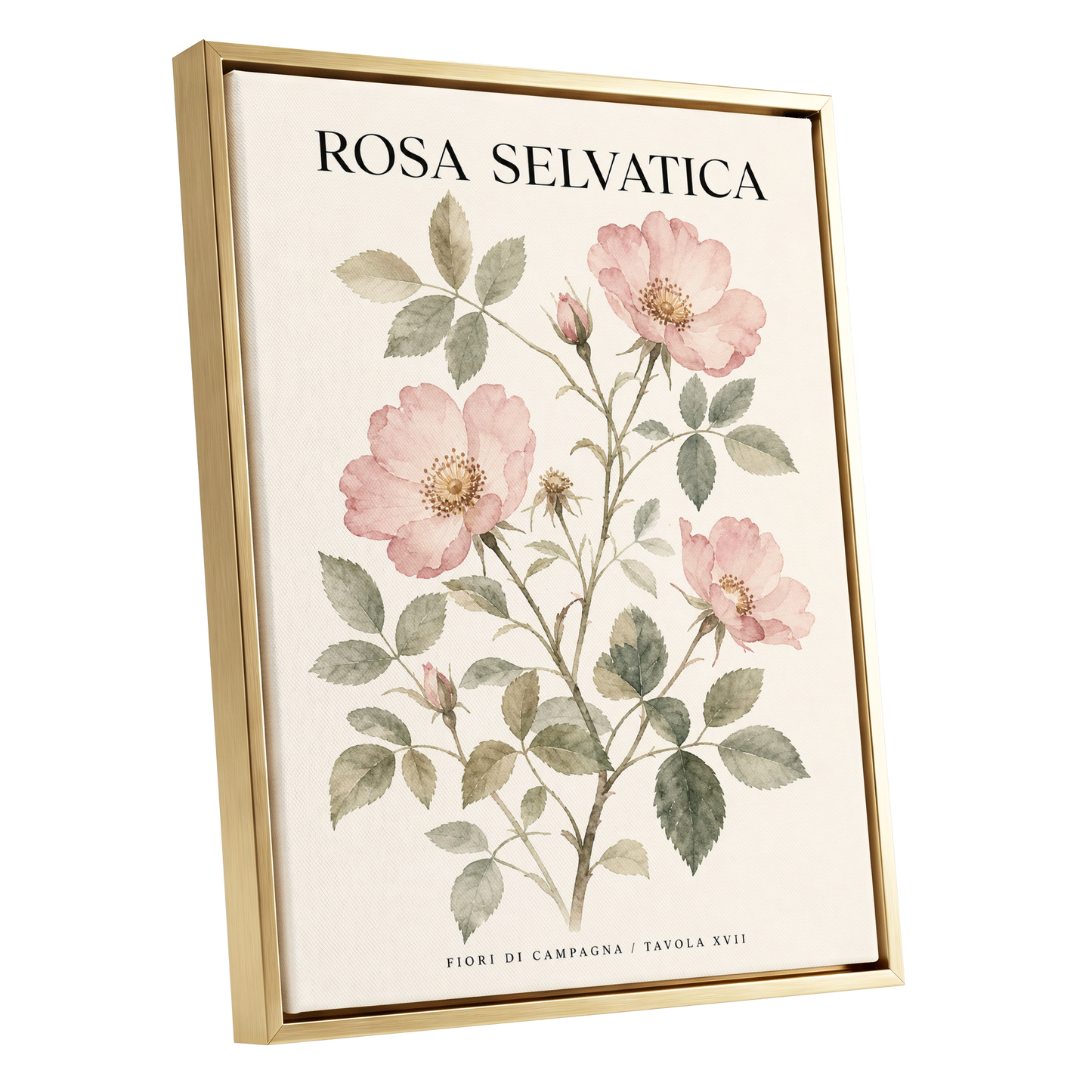 Wild Rose Study, pink, green, beige floral wall art shown as a gold framed canvas wall art