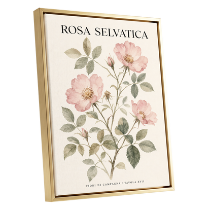 Wild Rose Study, pink, green, beige floral wall art shown as a gold framed canvas wall art