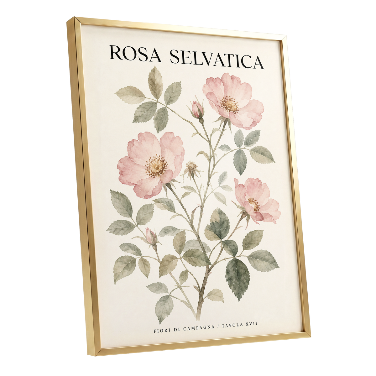 Wild Rose Study, pink, green, beige floral wall art shown as a gold framed poster wall art print