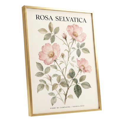 Wild Rose Study, pink, green, beige floral wall art shown as a gold framed poster wall art print