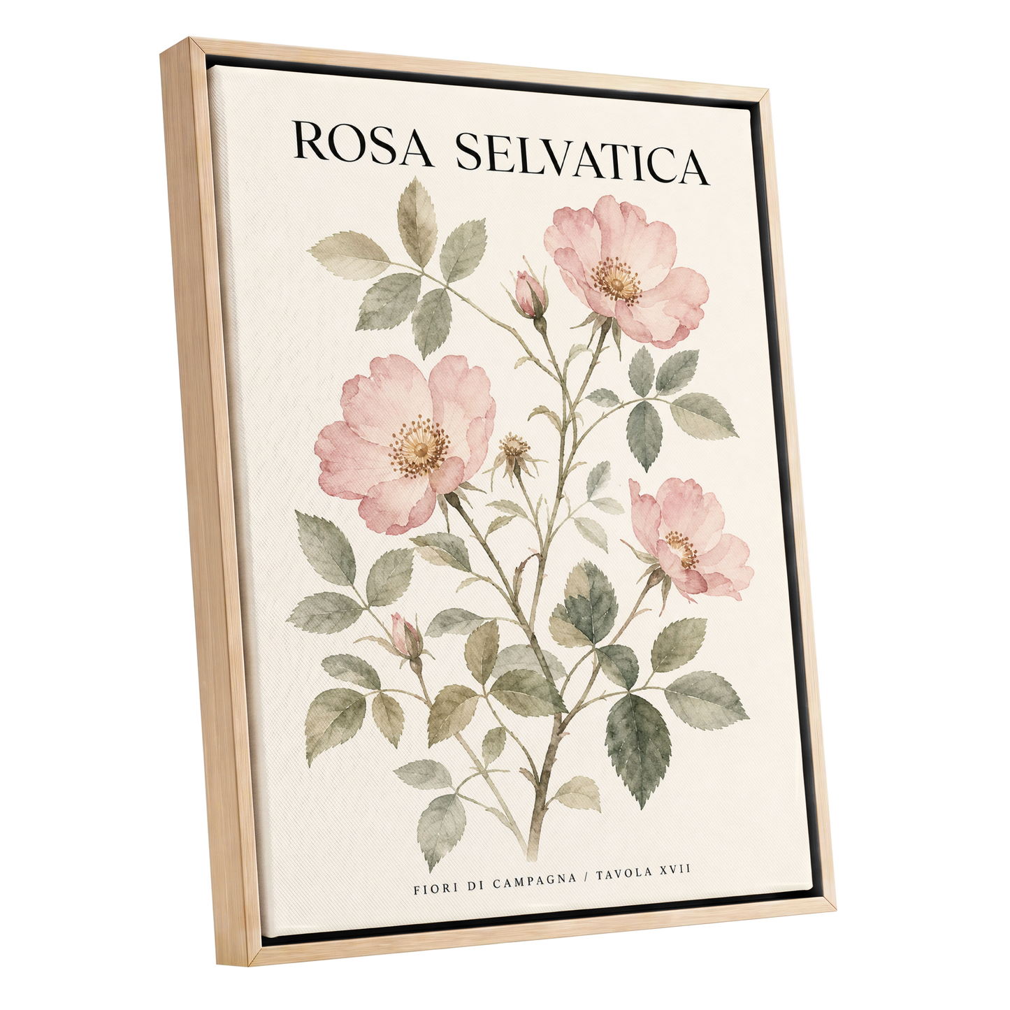 Wild Rose Study, pink, green, beige floral wall art shown as a oak framed canvas wall art