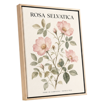 Wild Rose Study, pink, green, beige floral wall art shown as a oak framed canvas wall art