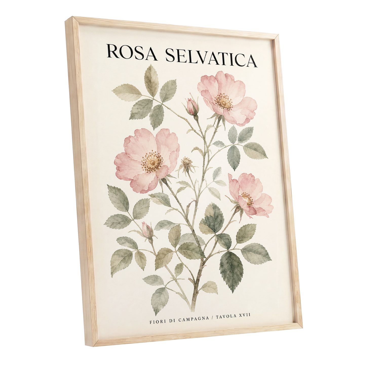 Wild Rose Study, pink, green, beige floral wall art shown as a oak framed poster wall art print