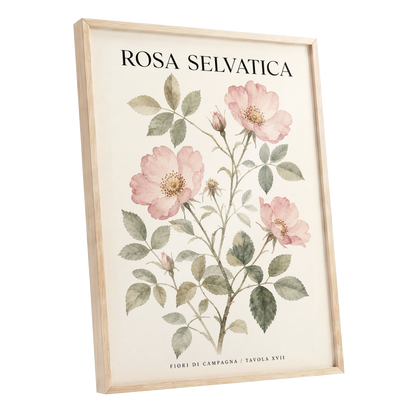Wild Rose Study, pink, green, beige floral wall art shown as a oak framed poster wall art print