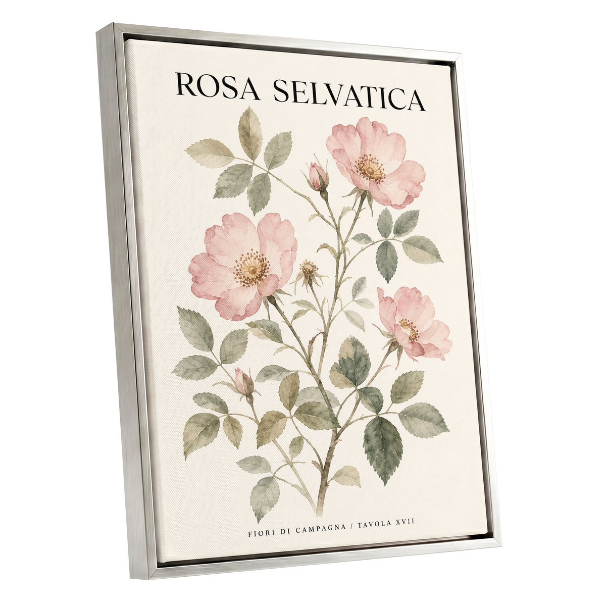 Wild Rose Study, pink, green, beige floral wall art shown as a silver framed canvas wall art