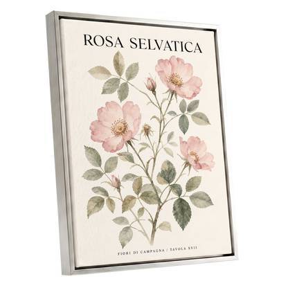 Wild Rose Study, pink, green, beige floral wall art shown as a silver framed canvas wall art