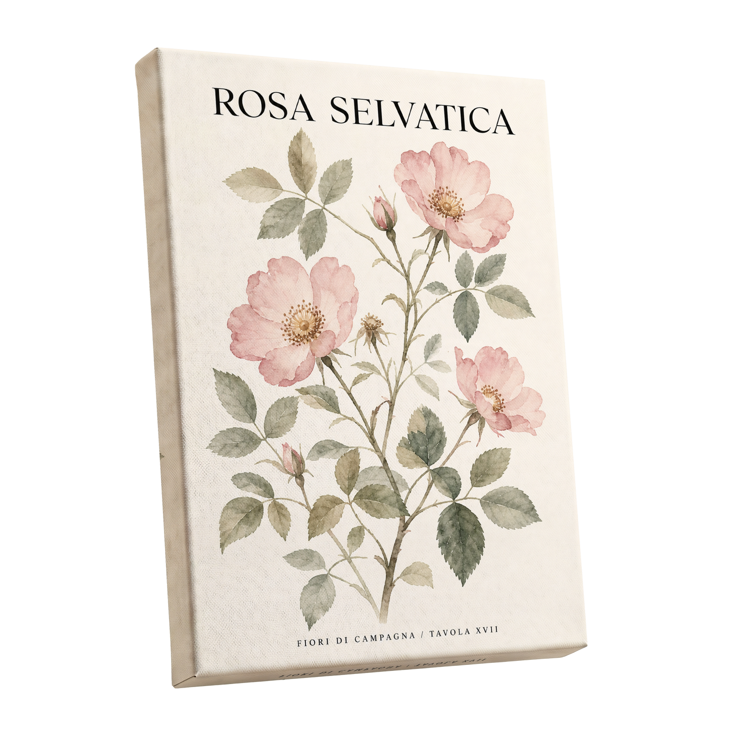 Wild Rose Study, pink, green, beige floral wall art shown as a stretched canvas wall art