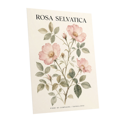 Wild Rose Study, pink, green, beige floral wall art shown as a unframed poster wall art print