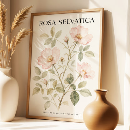 Wild Rose Study, pink, green, beige floral wall art displayed in a styled interior, gallery view 1