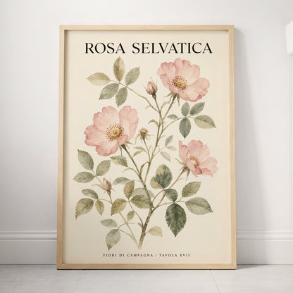 Wild Rose Study, pink, green, beige floral wall art displayed in a styled interior, gallery view 3