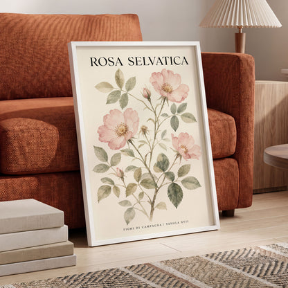 Wild Rose Study, pink, green, beige floral wall art displayed in a styled interior, gallery view 5