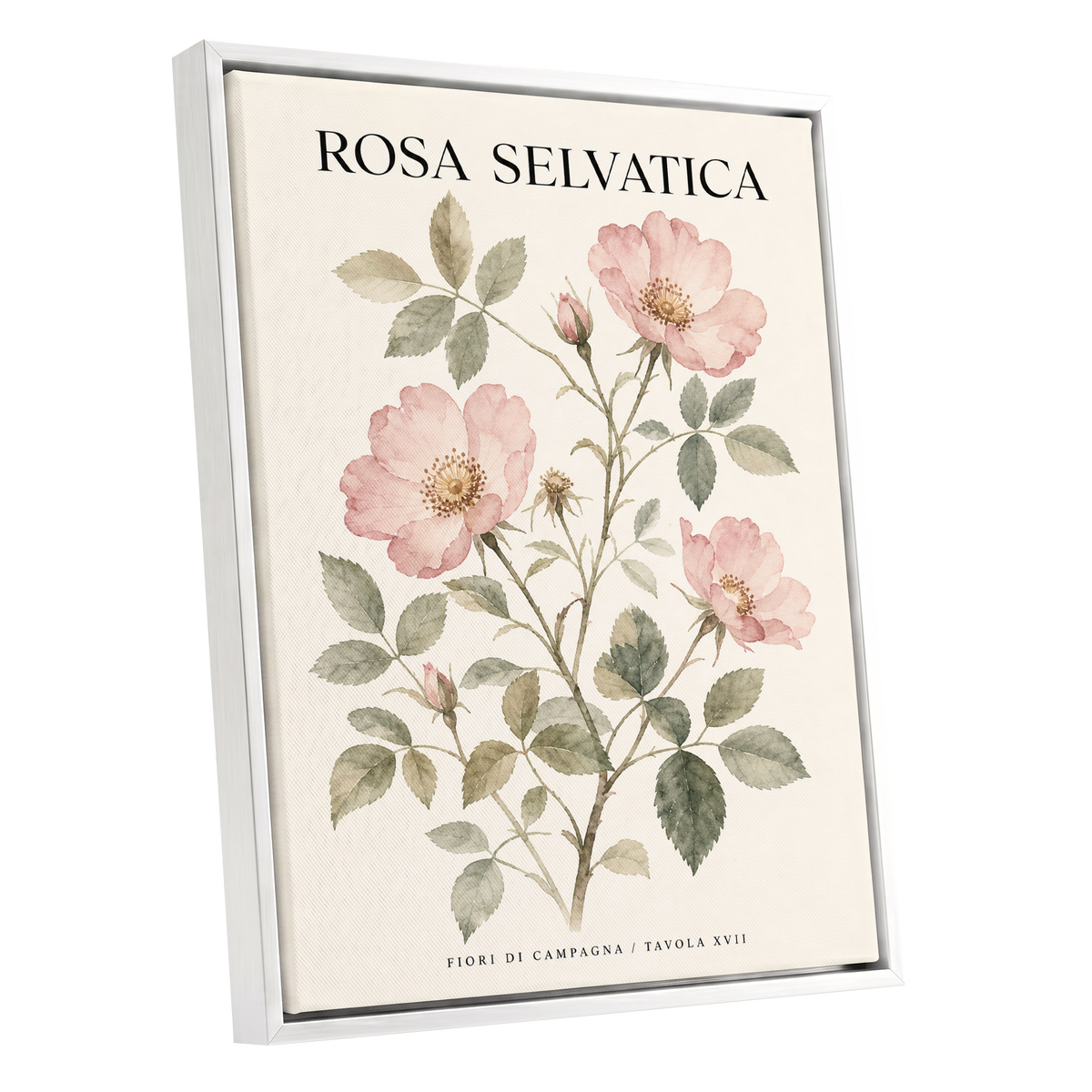 Wild Rose Study, pink, green, beige floral wall art shown as a white framed canvas wall art