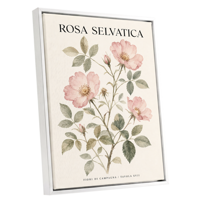 Wild Rose Study, pink, green, beige floral wall art shown as a white framed canvas wall art