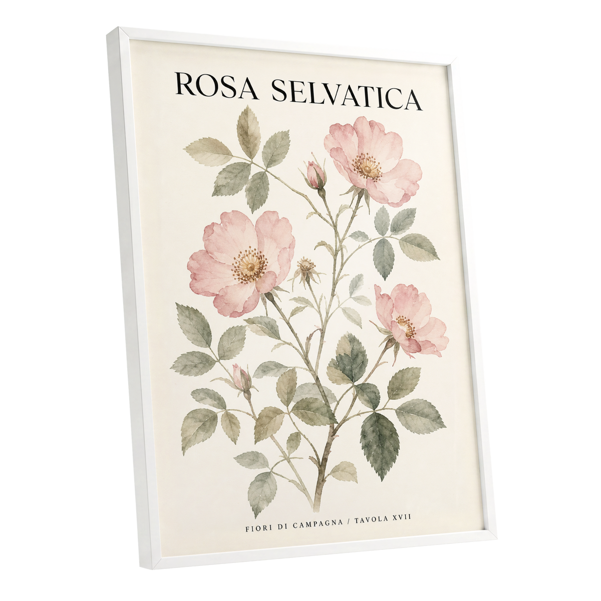Wild Rose Study, pink, green, beige floral wall art shown as a white framed poster wall art print