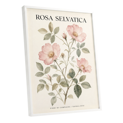 Wild Rose Study, pink, green, beige floral wall art shown as a white framed poster wall art print