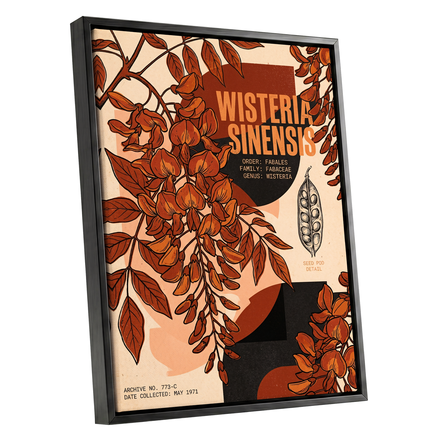 Wisteria Archive, beige, orange, black floral wall art shown as a black framed canvas wall art