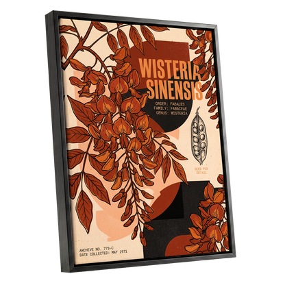 Wisteria Archive, beige, orange, black floral wall art shown as a black framed canvas wall art