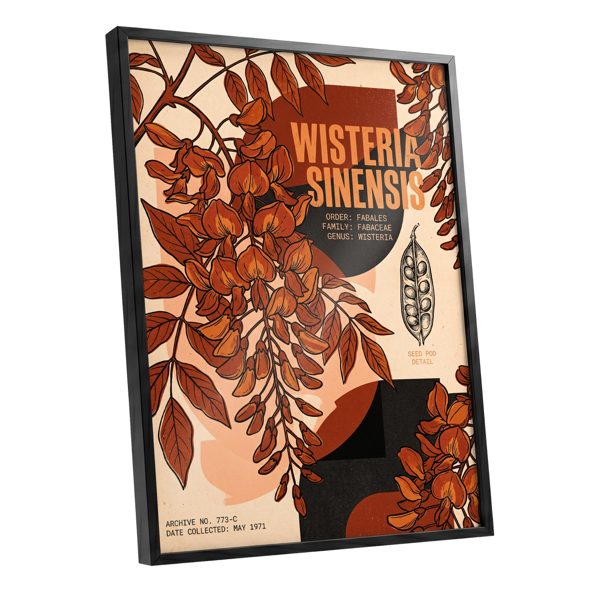 Wisteria Archive, beige, orange, black floral wall art shown as a black framed poster wall art print