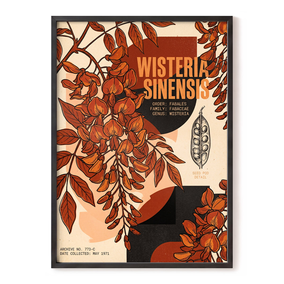 Wisteria Archive, beige, orange, black floral wall art, front artwork view