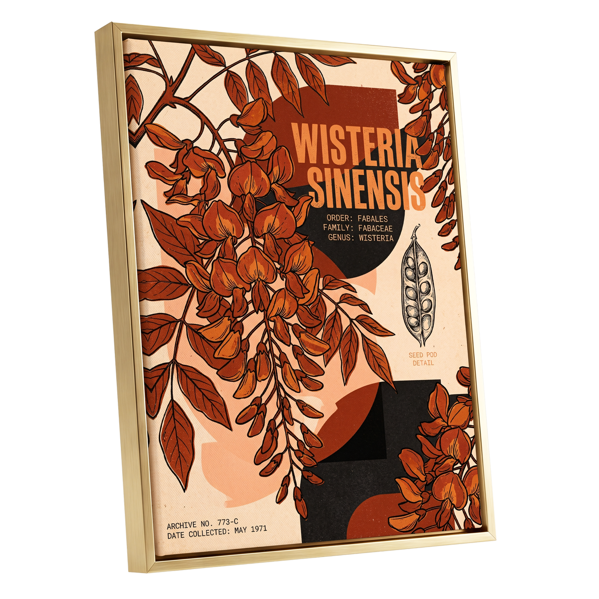 Wisteria Archive, beige, orange, black floral wall art shown as a gold framed canvas wall art
