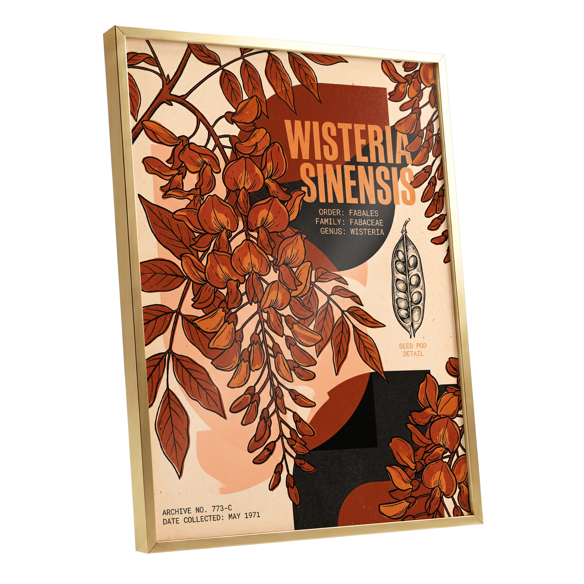 Wisteria Archive, beige, orange, black floral wall art shown as a gold framed poster wall art print