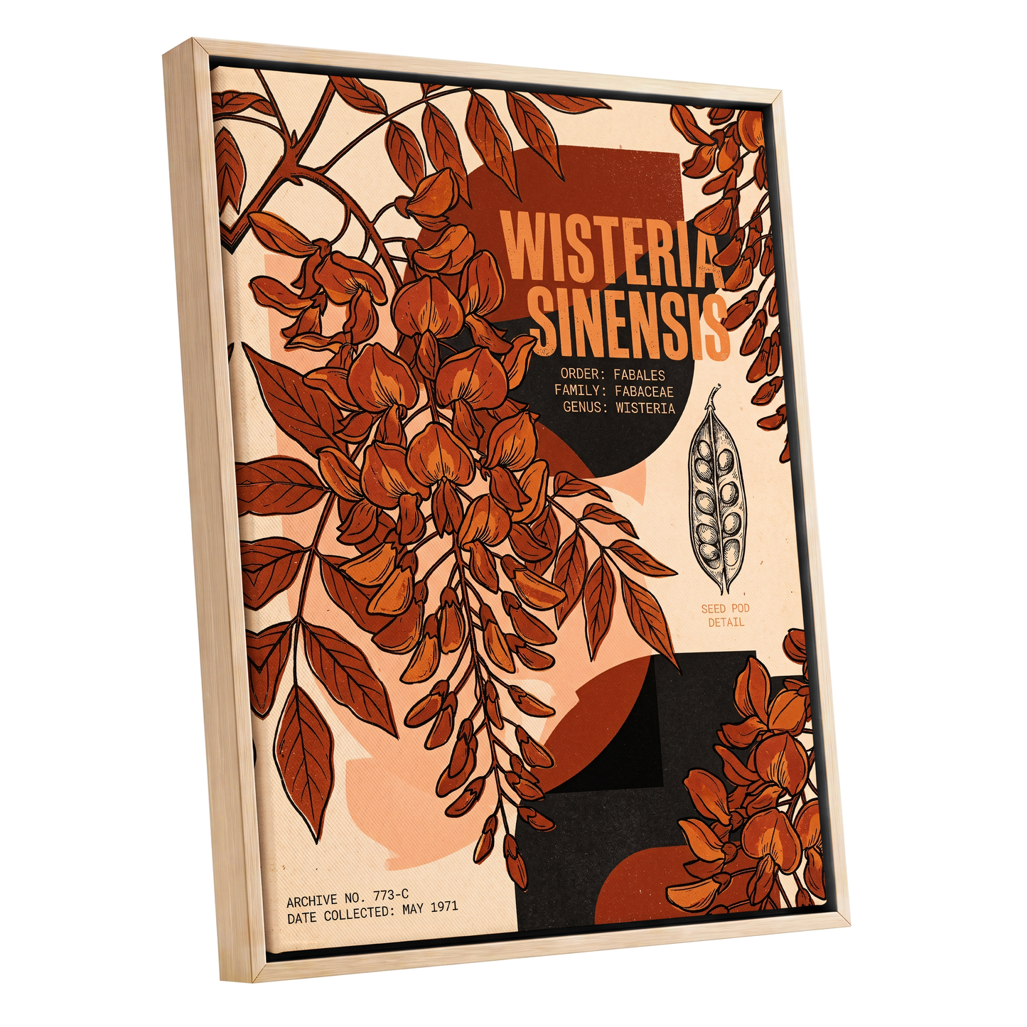 Wisteria Archive, beige, orange, black floral wall art shown as a oak framed canvas wall art