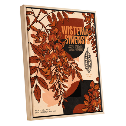 Wisteria Archive, beige, orange, black floral wall art shown as a oak framed canvas wall art