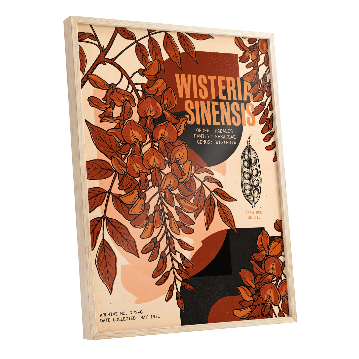 Wisteria Archive, beige, orange, black floral wall art shown as a oak framed poster wall art print