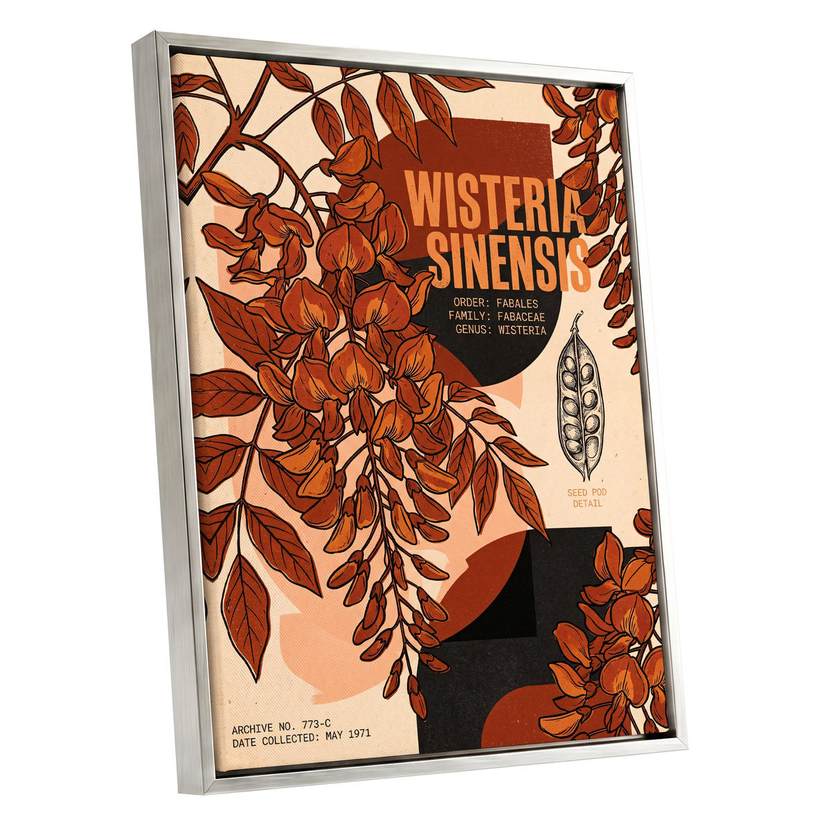 Wisteria Archive, beige, orange, black floral wall art shown as a silver framed canvas wall art