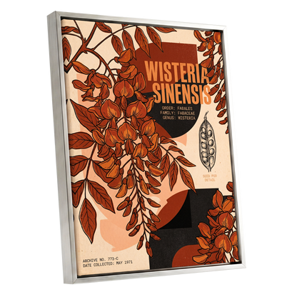Wisteria Archive, beige, orange, black floral wall art shown as a silver framed canvas wall art