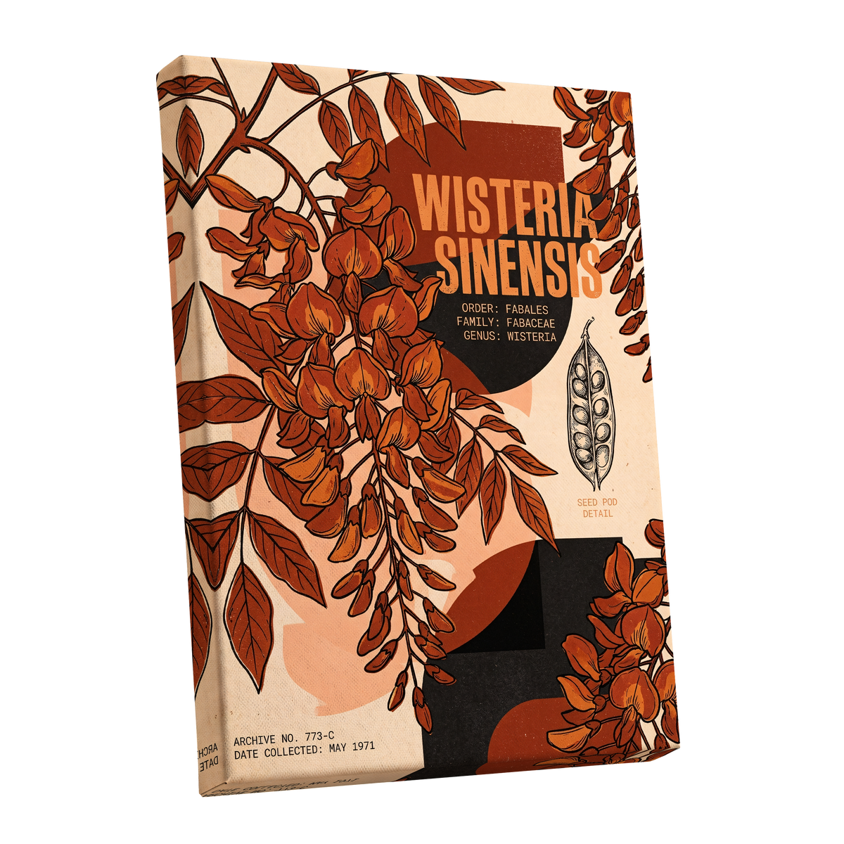 Wisteria Archive, beige, orange, black floral wall art shown as a stretched canvas wall art
