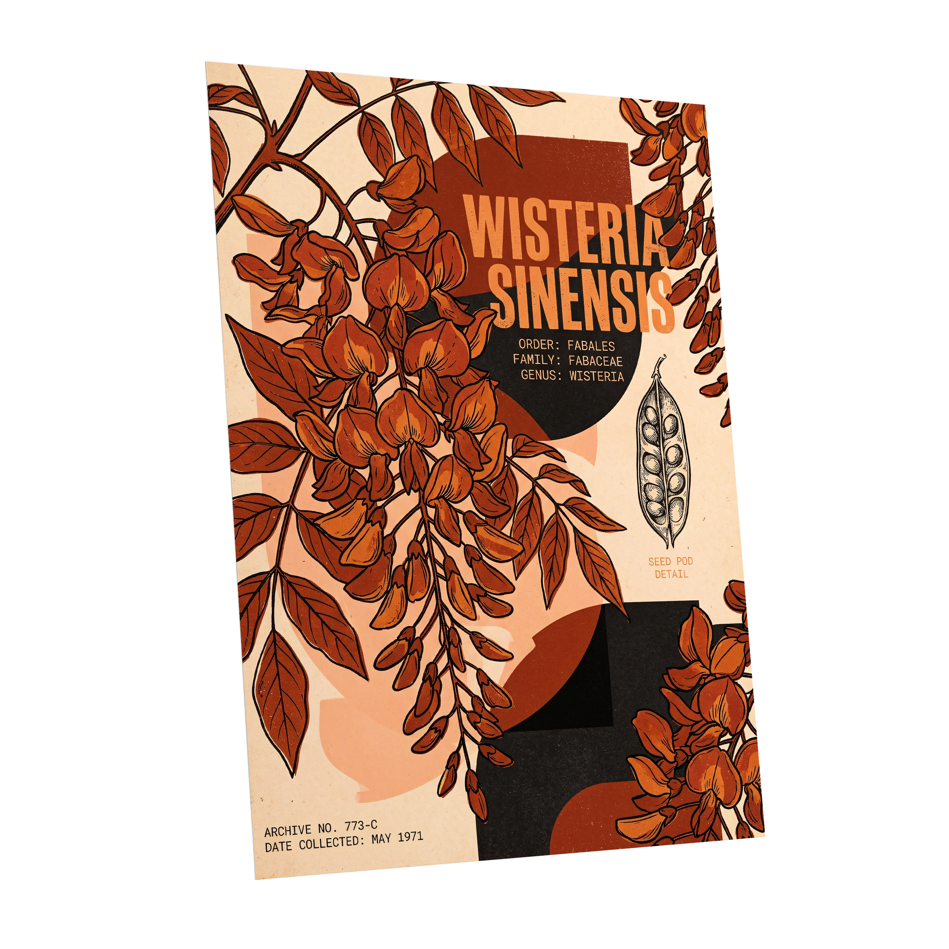 Wisteria Archive, beige, orange, black floral wall art shown as a unframed poster wall art print