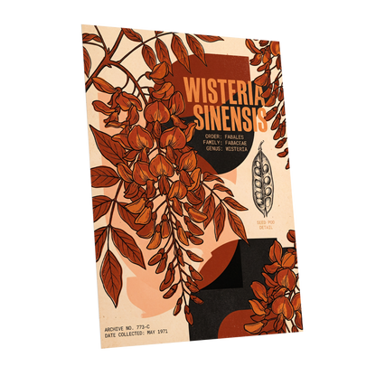 Wisteria Archive, beige, orange, black floral wall art shown as a unframed poster wall art print