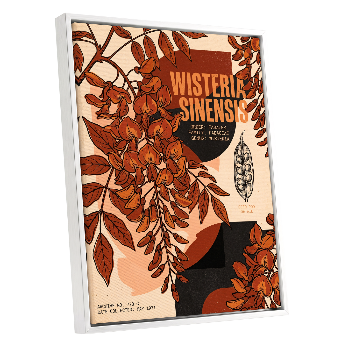 Wisteria Archive, beige, orange, black floral wall art shown as a white framed canvas wall art