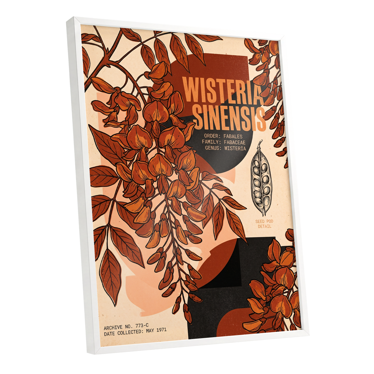 Wisteria Archive, beige, orange, black floral wall art shown as a white framed poster wall art print