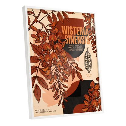 Wisteria Archive, beige, orange, black floral wall art shown as a white framed poster wall art print