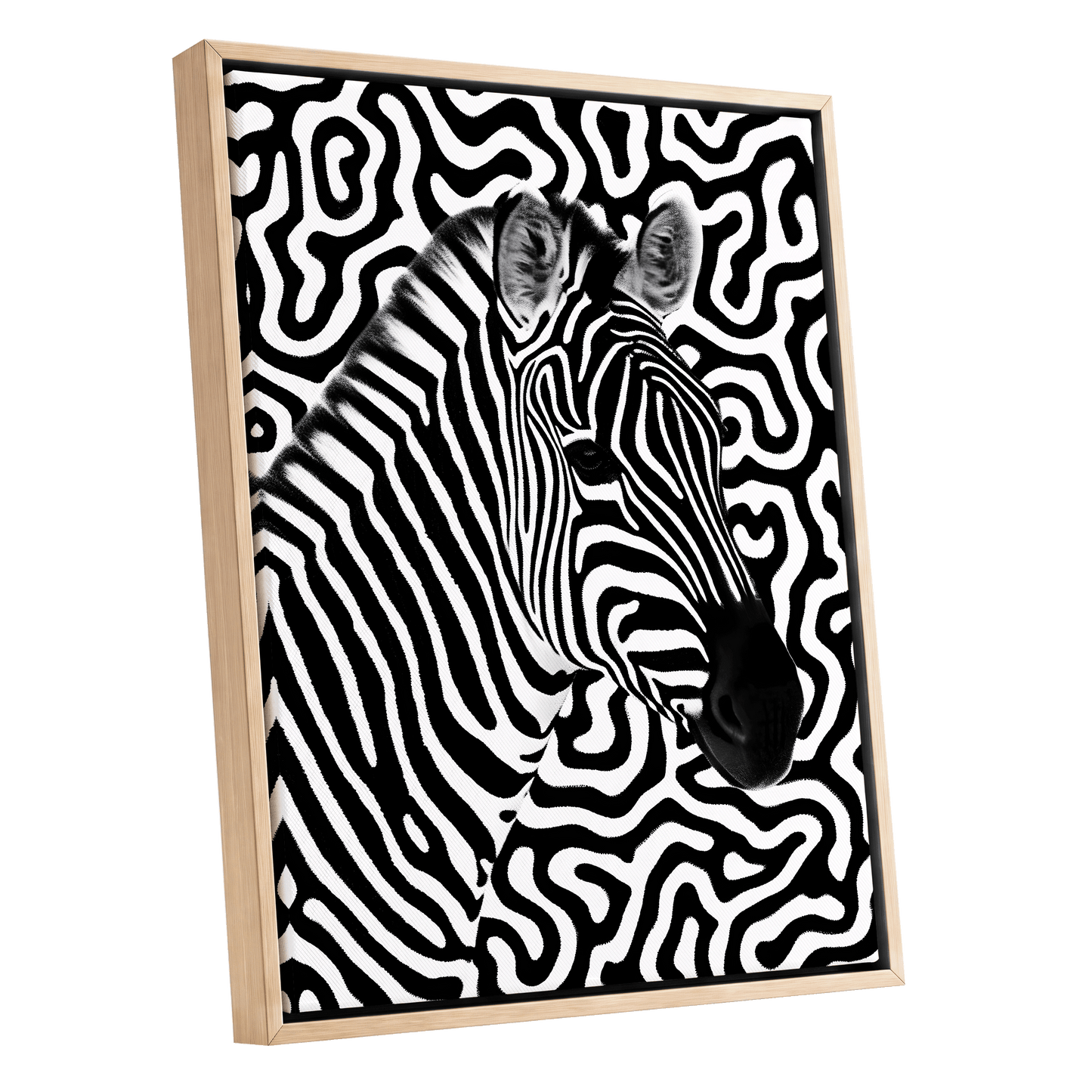 Zebra in the Lines, black, white nature wall art shown as a oak framed canvas wall art
