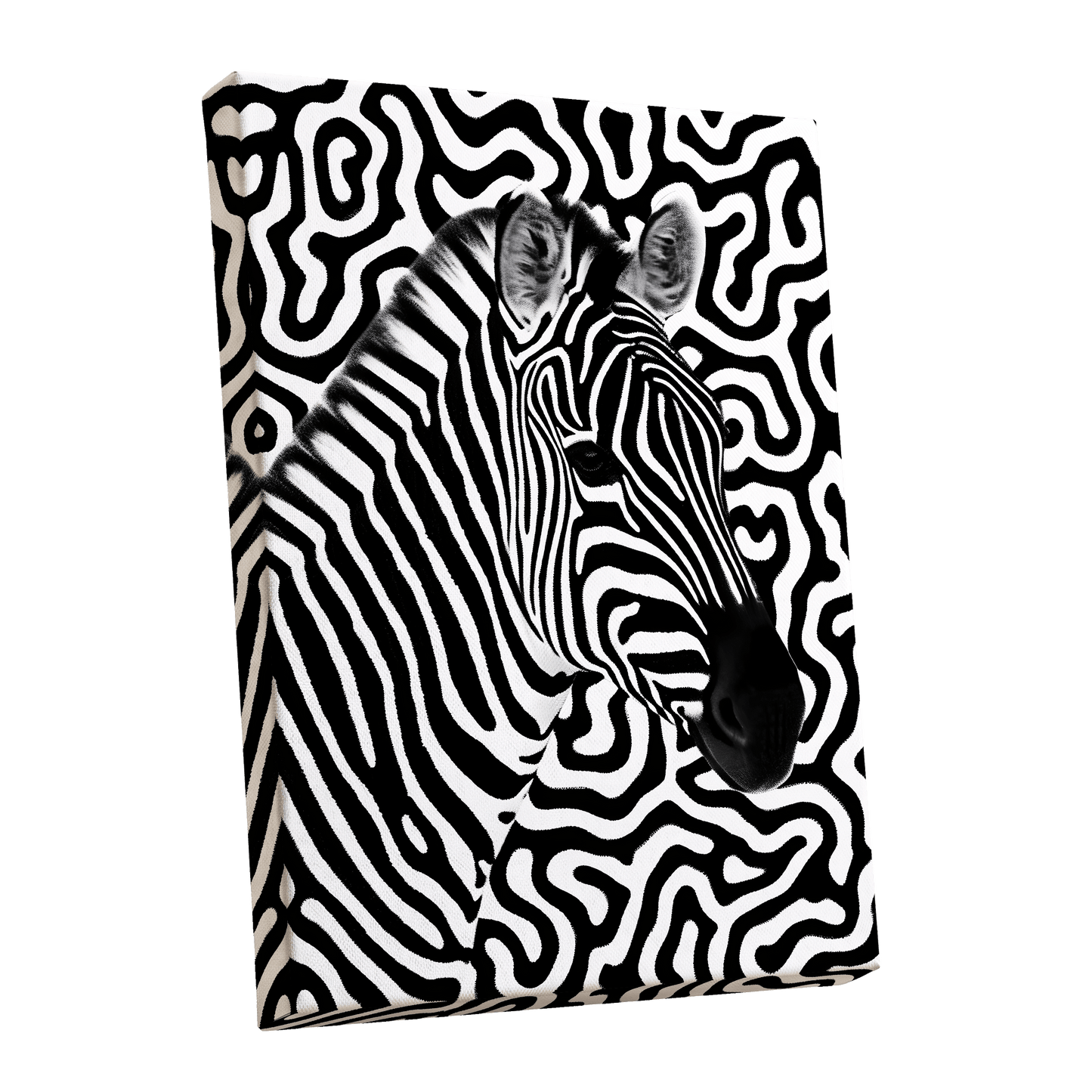 Zebra in the Lines, black, white nature wall art shown as a stretched canvas wall art