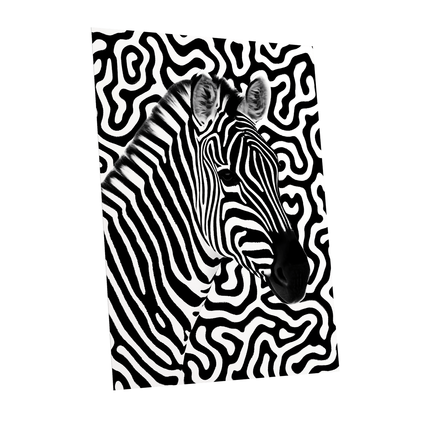 Zebra in the Lines, black, white nature wall art shown as a unframed poster wall art print