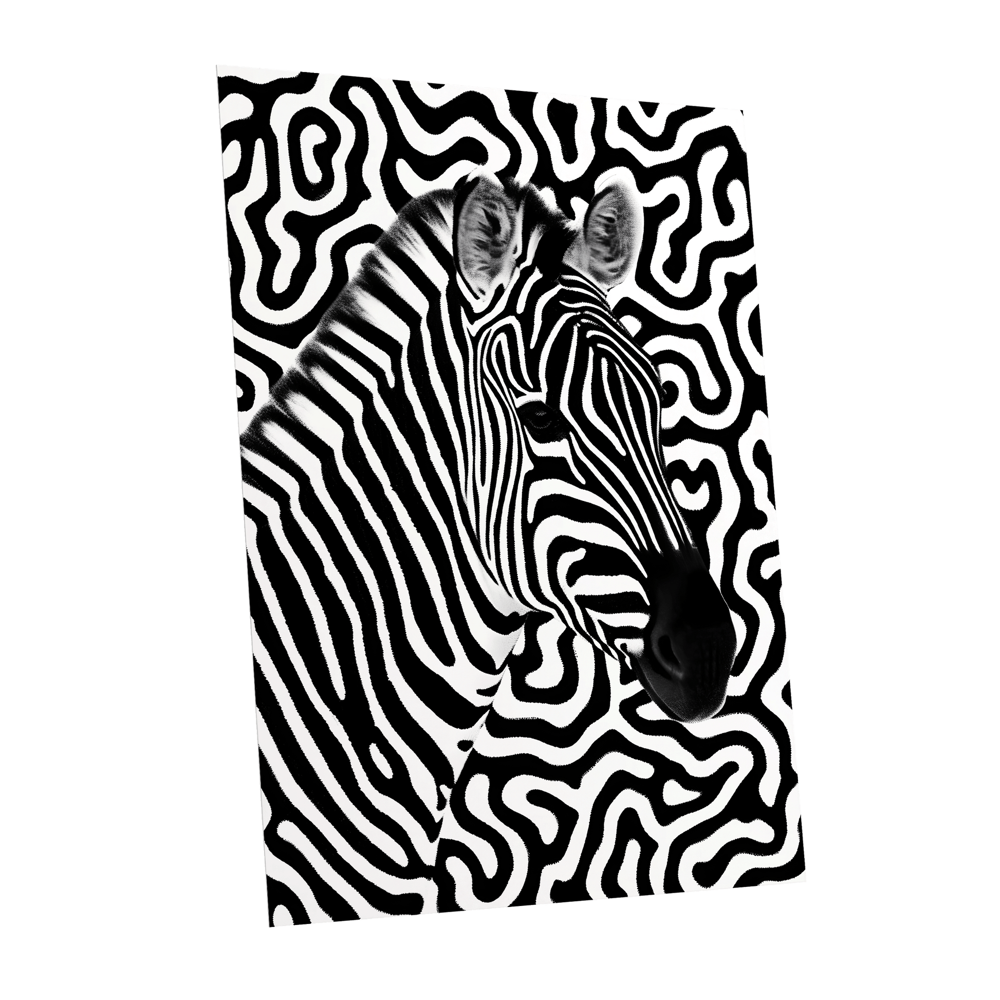 Zebra in the Lines, black, white nature wall art shown as a unframed poster wall art print