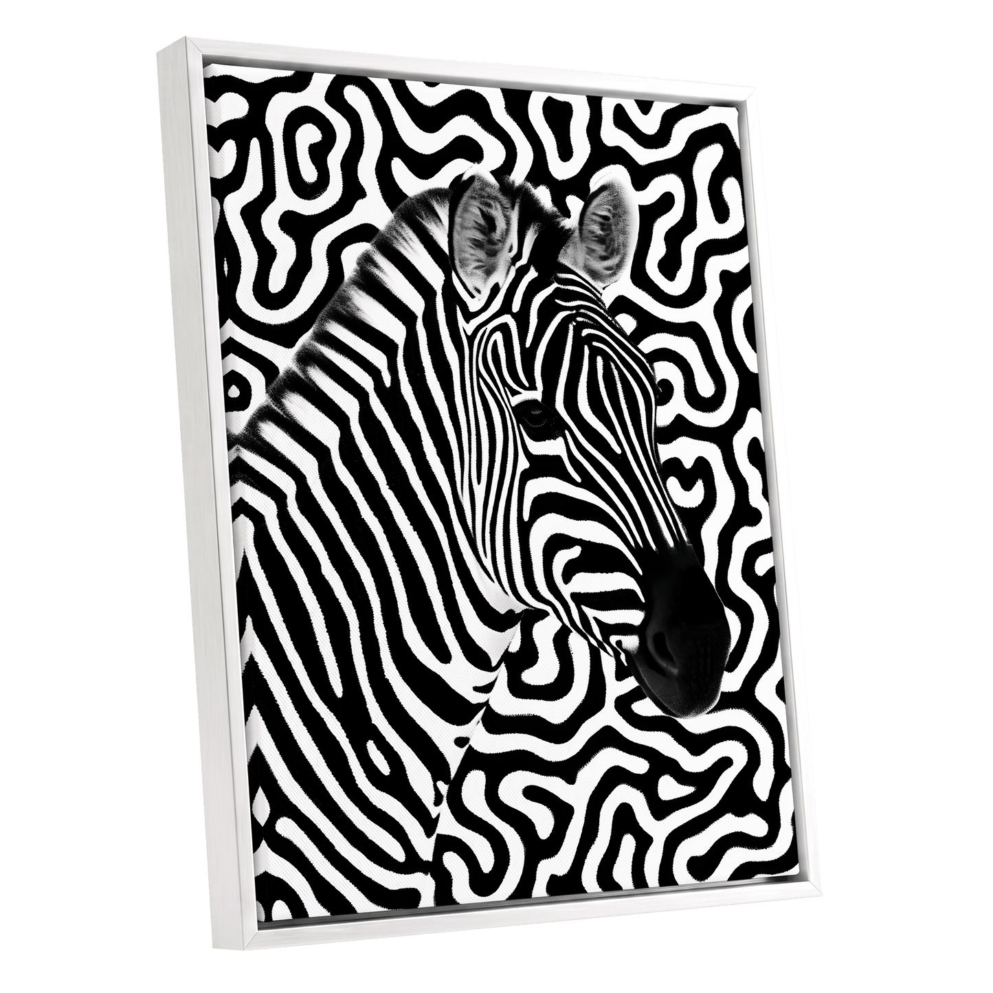 Zebra in the Lines, black, white nature wall art shown as a white framed canvas wall art