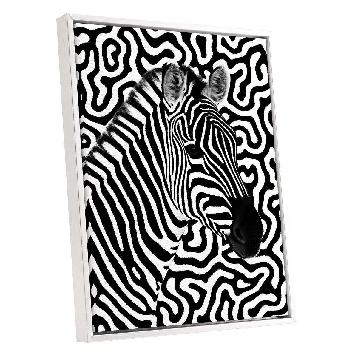Zebra in the Lines, black, white nature wall art shown as a white framed canvas wall art