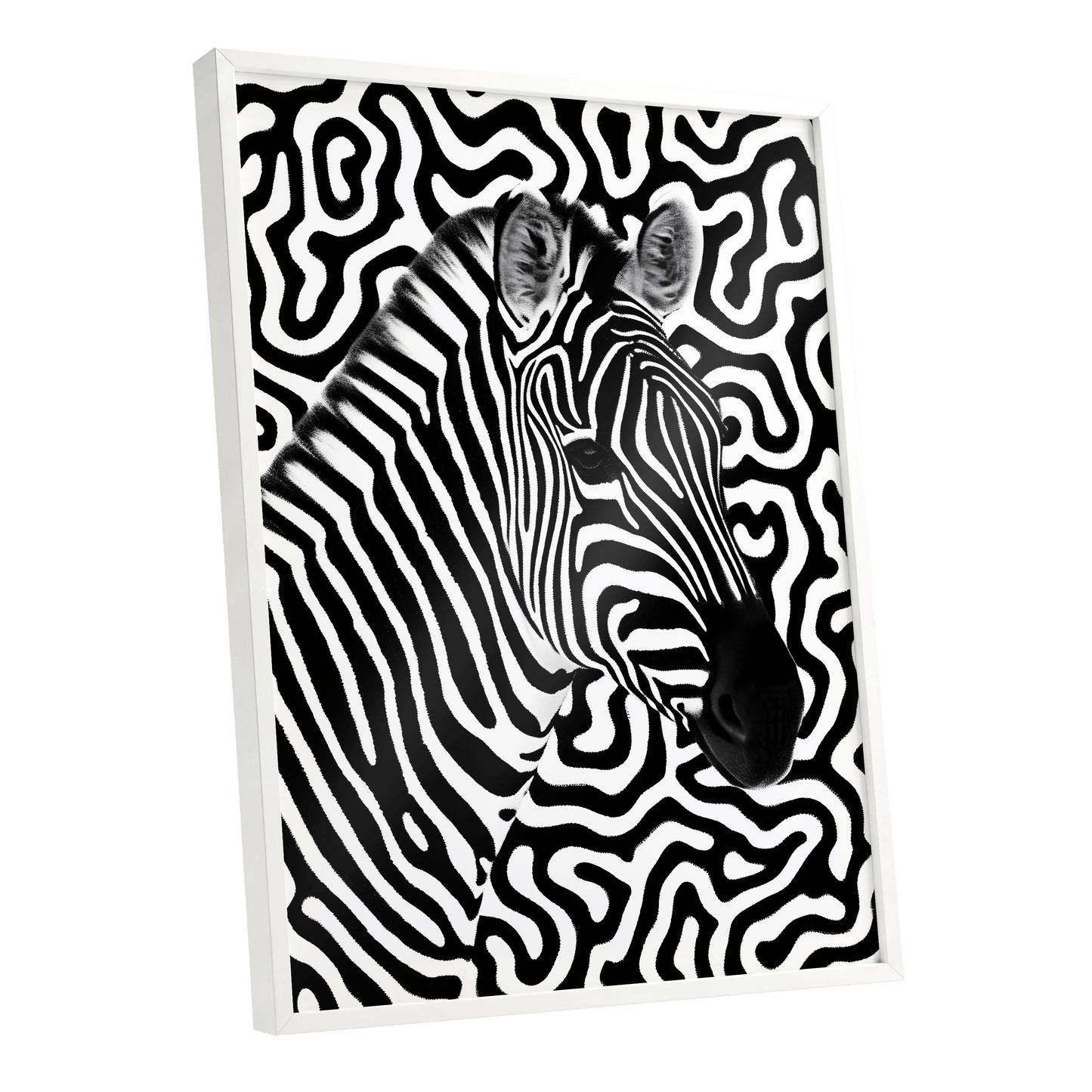 Zebra in the Lines, black, white nature wall art shown as a white framed poster wall art print